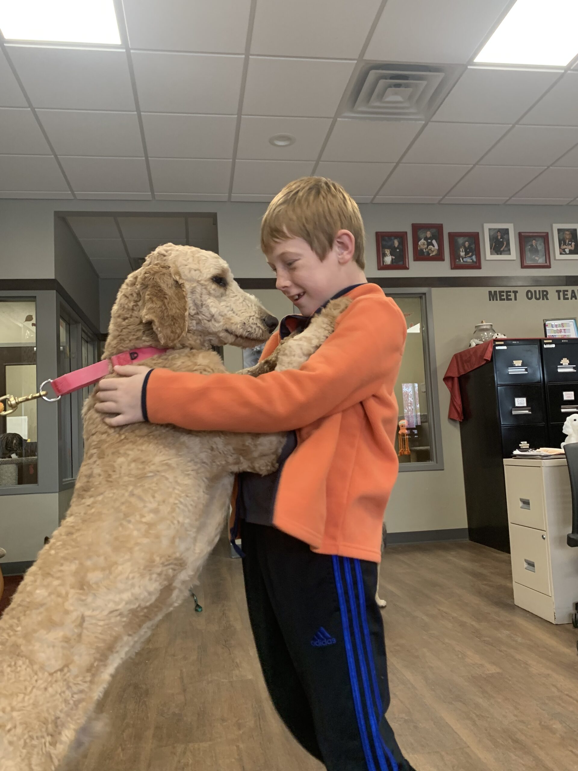 CinnaBear - Fond du Lac Humane Society